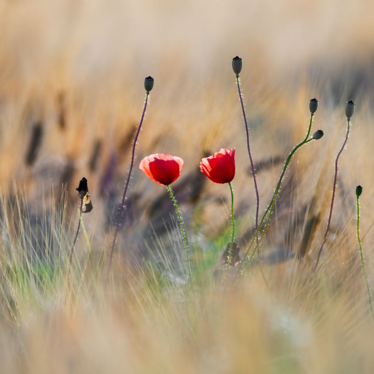 Relaciones y vínculo