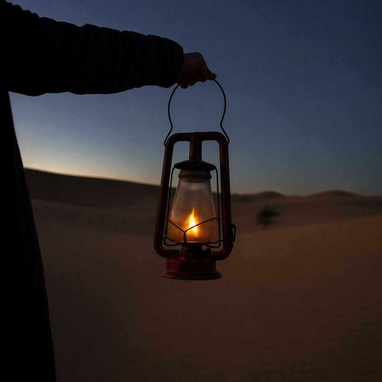 En qué más puedo acompañarte