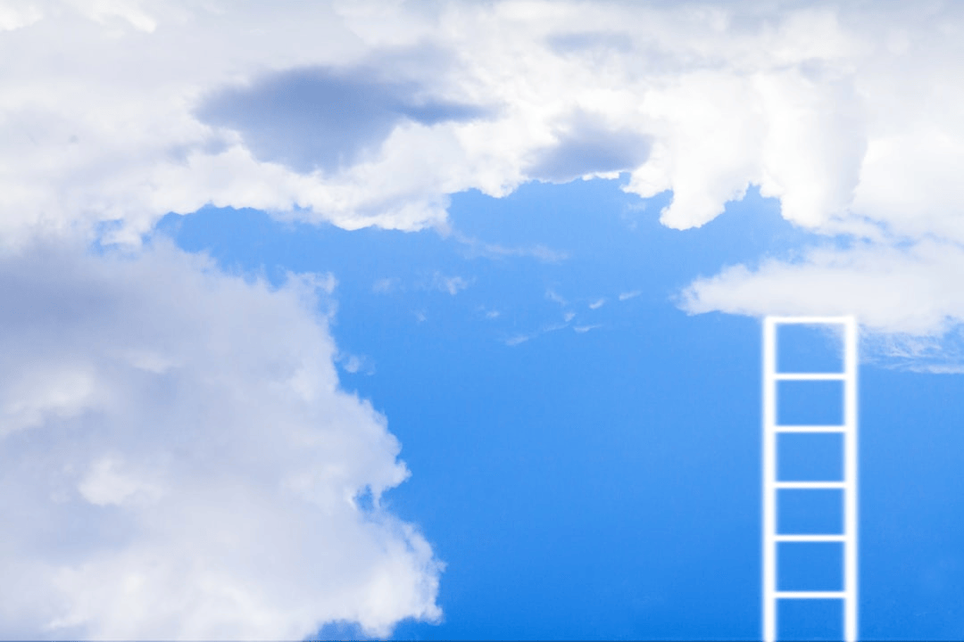 Relaciones y vínculo